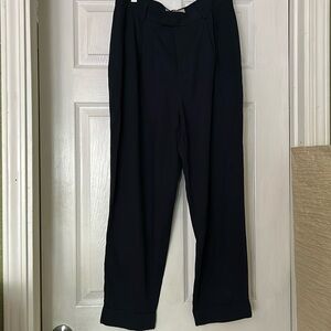 Everlane put-together pants in Navy